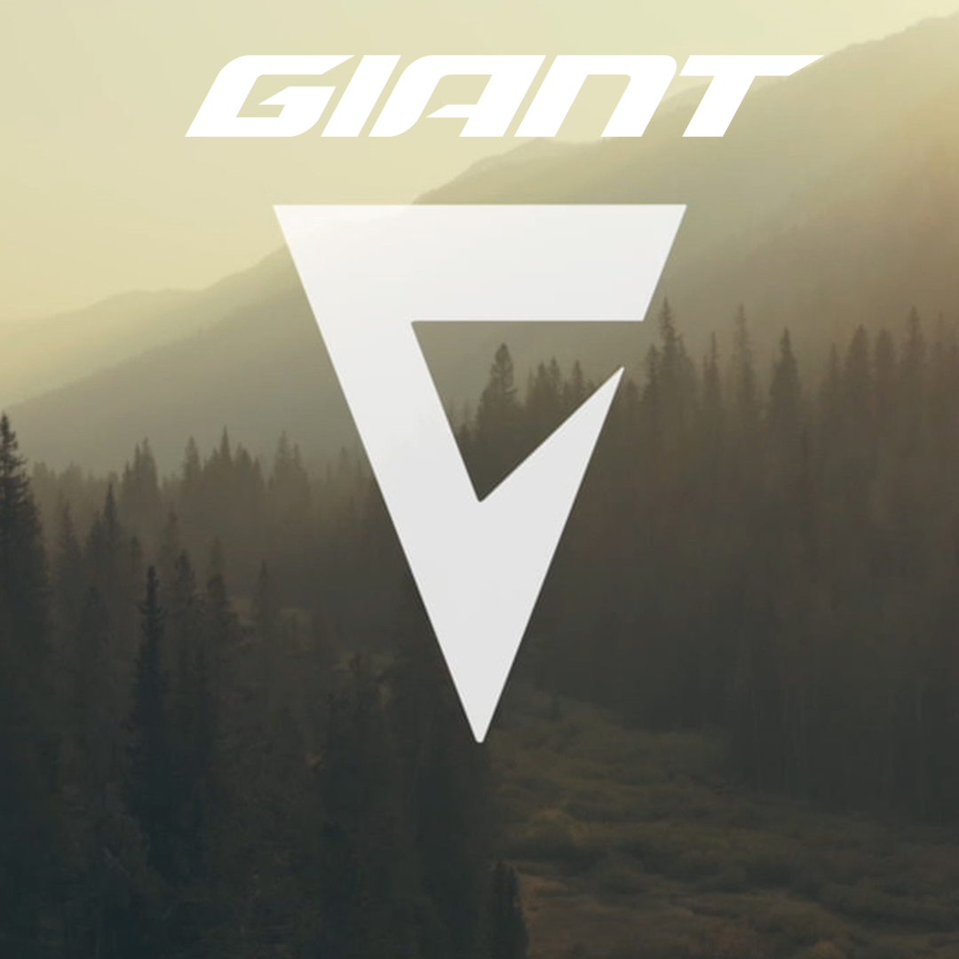 Giant Road Bikes Ireland Base2Race