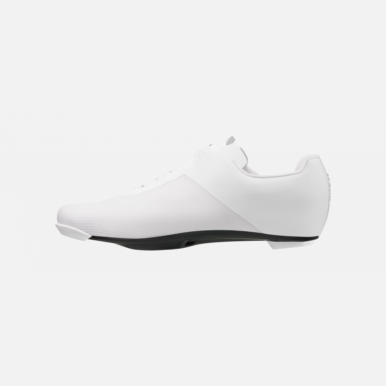 Fizik  Lyra