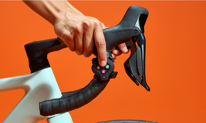 Elite Avanti with Zwift Cog and Click