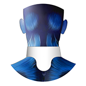 Mugiro Neck Protector